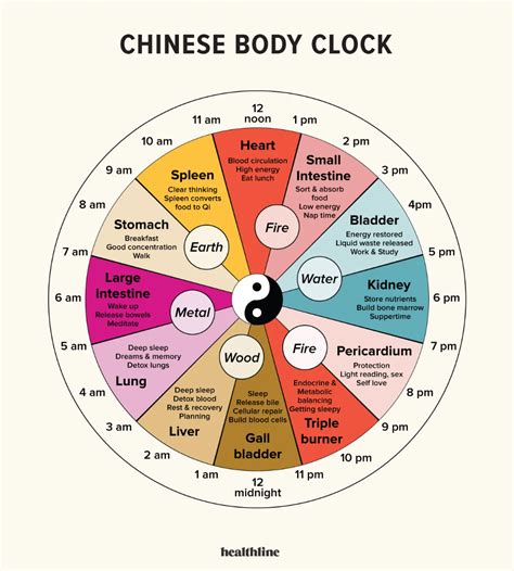 Chinese Body Clock About Benefits Research Mudras Chinese Body