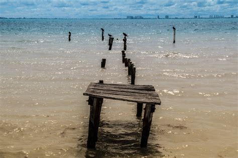 Bridge Beach Havet Gratis foto på Pixabay Pixabay