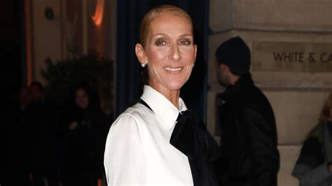 Céline Dion ose la robe totalement transparente