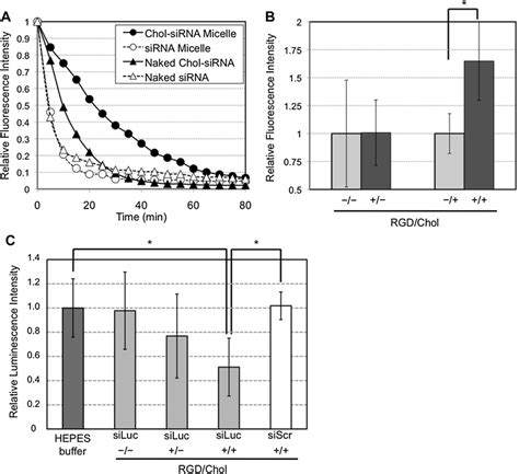 In Vivo Performance Of SiRNA Micelles A Blood Circulation Profiles