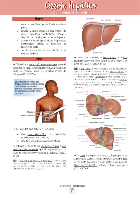 Fase Terminal Pessoa Com Cirrose Hepática - APG 12 - Estudo sobre Cirrose Hepática: Fisiopatologia e Impactos - Studocu
