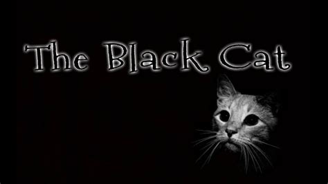 The Black Cat Youtube