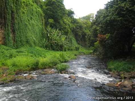 Riviere Des Anguilles River Vintage Mauritius