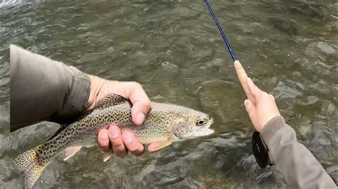 Fly Fishing The Little Lehigh In Pa Youtube