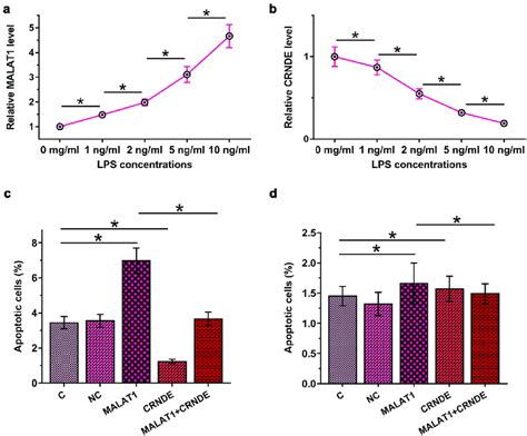 MALAT1 And CRNDE Interacted With Each Other To Regulate LPS Induced