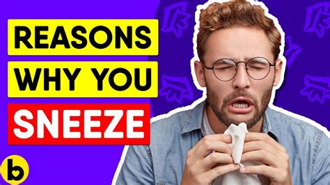 7 Reasons Why You Sneeze Can The Sun Make You Sneeze Youtube