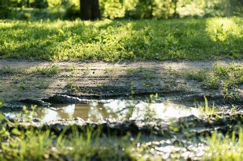 雨降って地固まるの意味・使い方｜ことわざ｜趣味時間