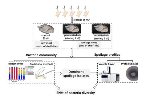 bacterial spoilage can be identified by