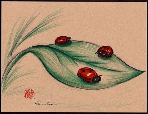 How To Draw A Ladybug