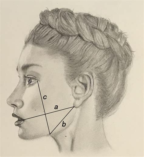 Diagram Of Facial Swelling Measurement A The Distance From The Corner