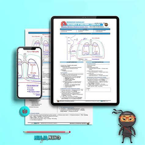 Mechanics Of Breathing Expiration Part 3 Notes NinjaNerd Medicine