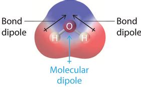 physical chemistry - Confusion about direction of dipole arrow in alpha-helices and other ...