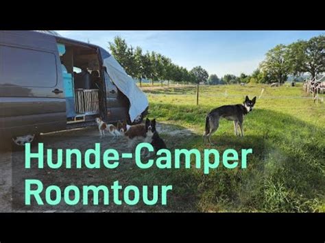 Roomtour Unser Hunde Camper Ist Fertig Vom Sprinter Zum Campervan