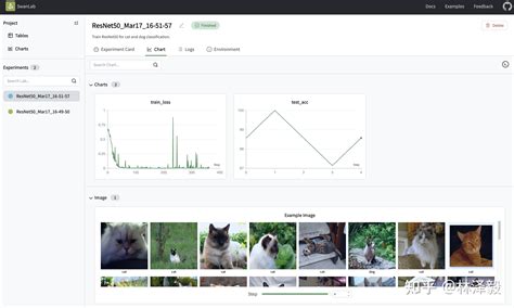 【图像分类】PyTorch猫狗分类（完整源码+SwanLab可视化+Gradio Demo） - 知乎