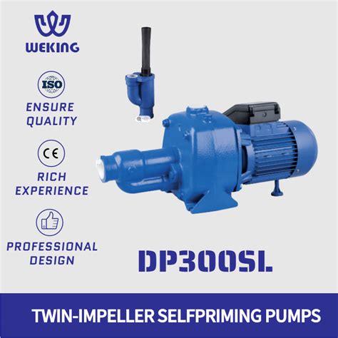 Dp Sl Electric Centrifugal Peripheral Power Clear Water Pump Hp