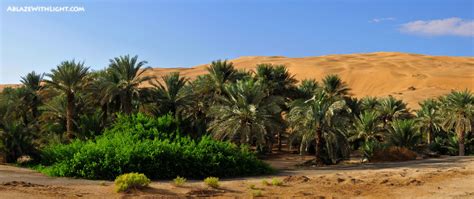 Liwa Oasis by VerticalDubai on DeviantArt