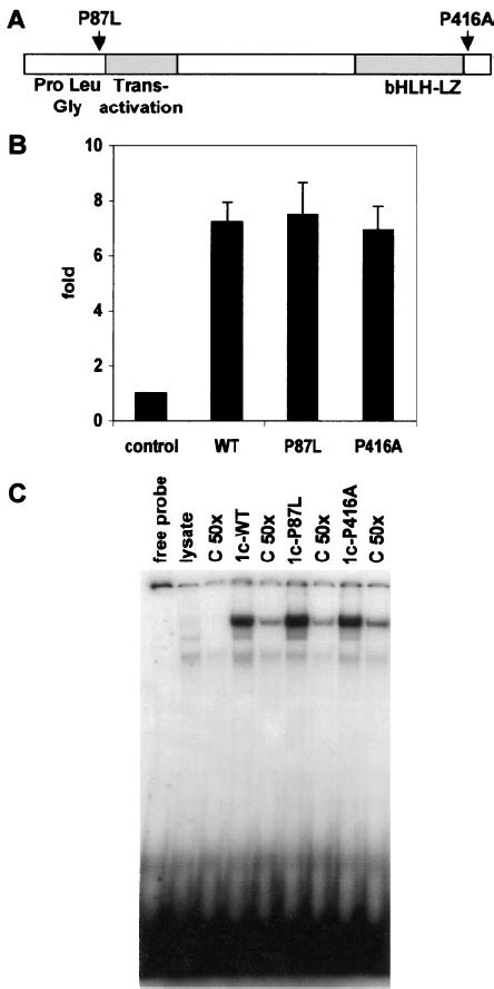 Rare Mutations In Mature SREBP 1c In Human Subjects With Severe Insulin