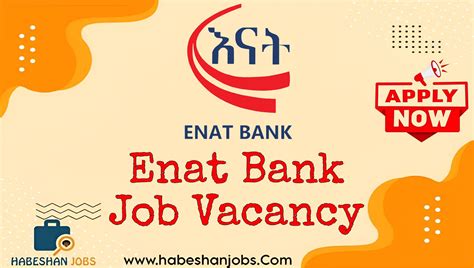 Enat Bank Job Vacancy Fresh Graduates