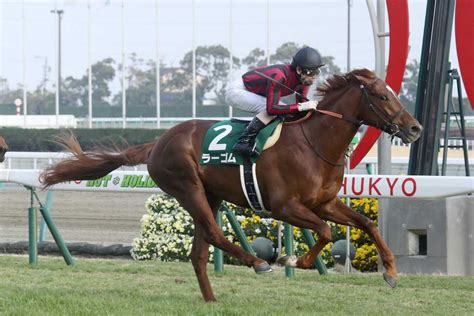 きさらぎ賞を勝ったラーゴムが競走馬登録を抹消 今後は乗馬となる予定 サンスポzbat