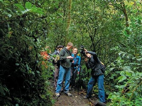 Bird Watching Tour In Monteverde Costa Rica Inspire