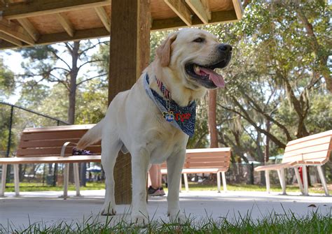 Community and Neighborhood Parks | Sarasota County, FL