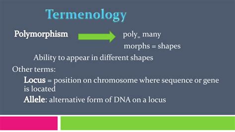 Single Nucleotide Polymorphism Snp Ppt