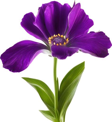 Premium Psd Purple Flowers With Stems Ai Generated