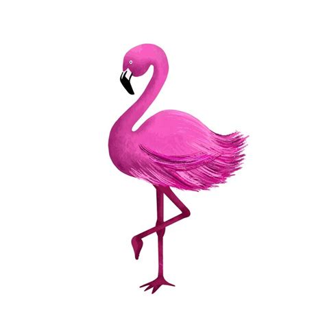 Gezeichnete Illustration Des Rosa Flamingos Hand Premium Vektor