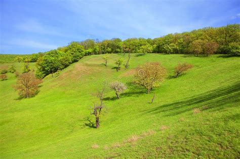 Sunny Green Hills Stock Image Image Of Idyllic Nature 113802783