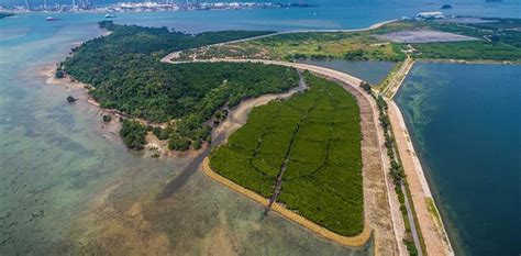 Semakau Island The Green Landfill In Singapore Green Network Asia