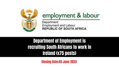 Department Of Employment Is Recruiting South Africans To Work In Ireland X75 Posts