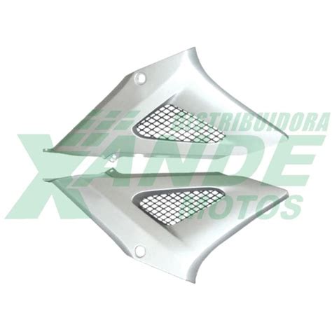 Tampa Lateral Cbx 250 Prata Vernizado 2001 2004 Par [com Tela