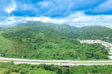 Machos De Ceiba Puerto Rico Venta Bienes Ra Ces Ceiba Puerto Rico