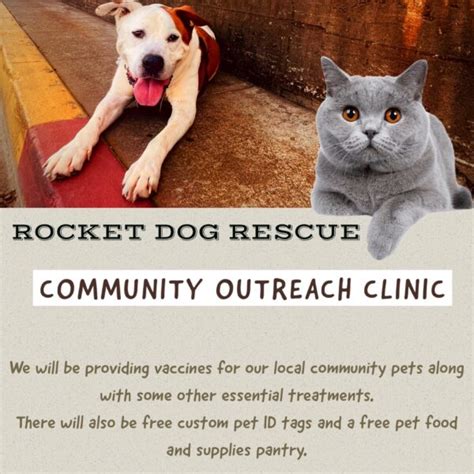 Home Rocket Dog Rescue