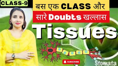 Tissues Chapter 6 Plant Tissues Class 9 Science One Shot Easiest