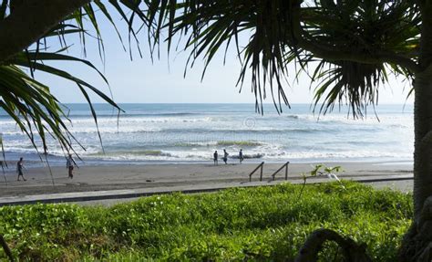 Black Sand Sea Beach in Bali Editorial Image - Image of holiday, scene ...