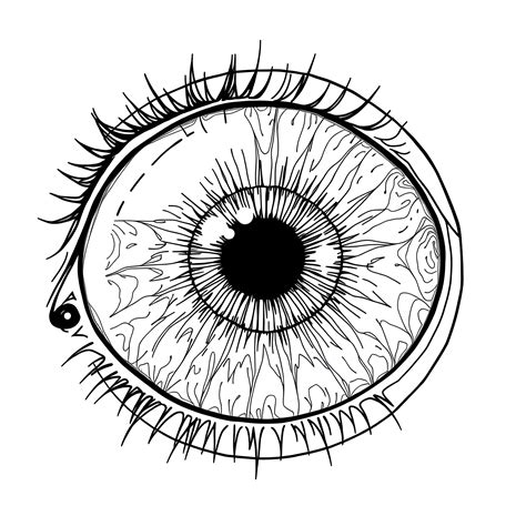 Best Eyeball Coloring Pages (Free Printable PDF)