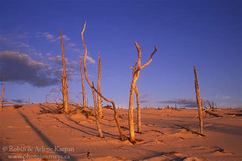 Exploring Saskatchewans Athabasca Sand Dunes Photo Journeys