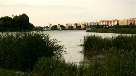 Acqua Contaminata Da Legionella Nell Hub Nato Fa 19 Morti Indagano I