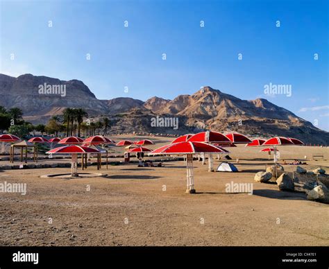 Dead Sea Beach, Israel Stock Photo - Alamy