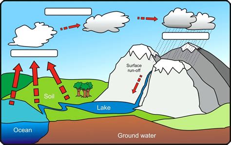 Water Cycle With Labelling