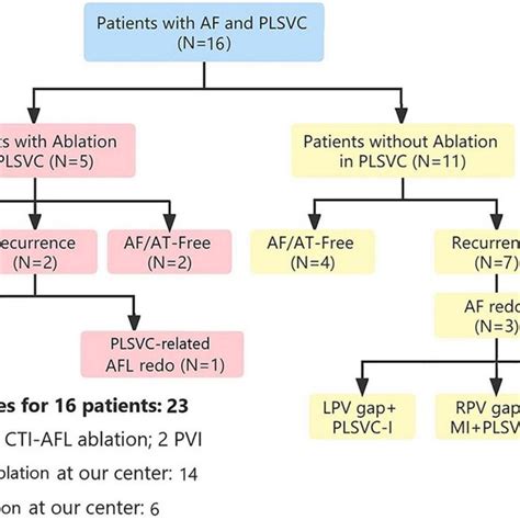 Flow Diagram Showing Procedural And Follow Up Outcomes AF Atrial