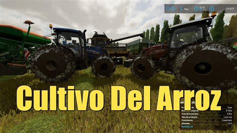 Cultivo Y Cosecha Del Arroz En Farming Simulator 22 YouTube