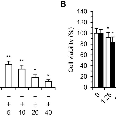 Analysis Of HUVEC Proliferation And RF Cytotoxicity A HUVECs Were