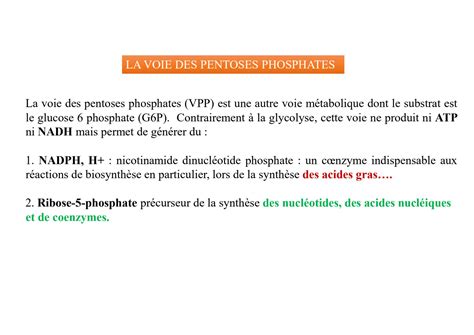 SOLUTION Chapitre 2 M Tabolisme Suite Pdf Studypool