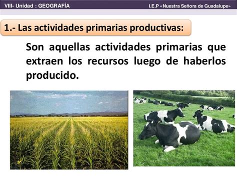 Actividades Económicas Primarias Productivas