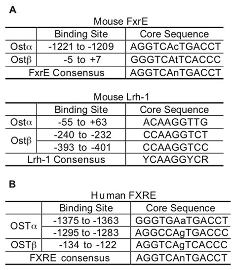 Functional FxrEs And Lrh 1 Binding Sites In The Proximal Promoter Of