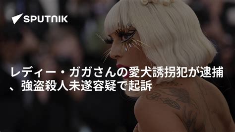 レディー・ガガさんの愛犬誘拐犯が逮捕、強盗殺人未遂容疑で起訴 2021年4月30日 Sputnik 日本