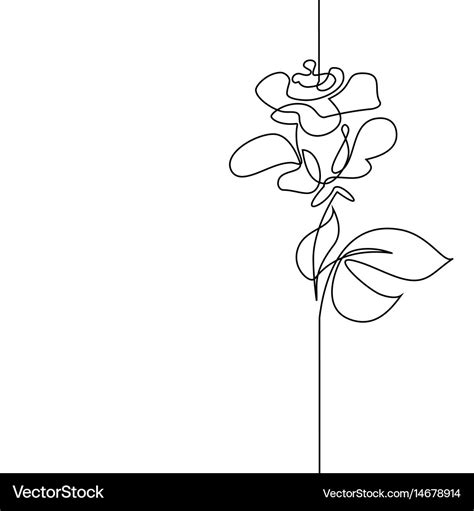 Continuous Line Drawing Beautiful Flower Vector Image