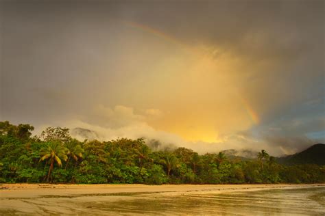 Cape Tribulation Australia Discover The Oldest Rainforest